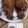 Cooksnap dari faya untuk resep Ayam crispy ala kfc anti gagal