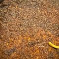 Cooksnap από Margarita Aggelidou στη συνταγή Μακαρόνια με μελιτζάνες στο φούρνο