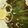 Unnati Dave Gorwadia's cooksnap of when they made Bharwan Bhindi Saag.