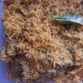 Cooksnap dari Wiwin Sumartini untuk resep Serundeng Tetelan Sapi