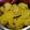 KALPA's cooksnap of when they made ખમણ ઢોકળા.