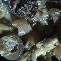 Cooksnap dari Yuniiii Inara untuk resep Soto kikil