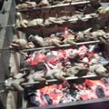 El cooksnap de Roger Castedo cuando hizo Codornices a la parrilla.
