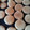 El cooksnap de Natalia Di Ielsi cuando hizo Galletitas dulce de manteca.