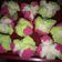 Cooksnap dari Siti Febrian untuk resep Bolu kukus mekar 555