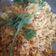 Ashlesha Vora's cooksnap of when they made મગ ની છૂટી દાળ (Moong Chhuti Dal Recipe In Gujarati).