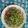 Rekha Vora's cooksnap of when they made સલાડ (Salad Recipe in Gujarati).