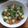 Cooksnap Michał Znamirowski z czasów, kiedy przygotował Fitka velouté, wykwintna.