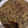 El cooksnap de Neven cuando hizo Tortilla de patata con morcilla de Burgos.