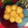 Cooksnap dari @rizkahns21 untuk resep Bola Tahu Krispi
