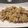 El cooksnap de idurre_ucin cuando hizo Risotto de trufa negra y boletus edulis.