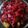 Ilakiya Abhishek's cooksnap of when they made பீட்ரூட் பொரியல்(beetroot poriyal recipe in tamil).