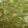 El cooksnap de Marta Rico cuando hizo Carne de puerco en salsa verde y nopales!.