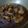 Sarita Srivastava's cooksnap of when they made Bihary Style Chicken Curry.