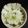 Monali Dattani's cooksnap of when they made કાકડી નું રાયતું.