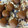El cooksnap de egyume cuando hizo Trufas de chocolate con ron.