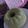 Cooksnap dari Cici Wulan Nurhamah untuk resep Bolu kukus matcha latte