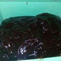 Cooksnap dari Widuri Sii Dolphin untuk resep Selai Chocolatos (Cokelat & Matcha)