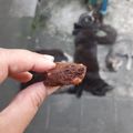 Cooksnap dari nur qodrati harisasanti untuk resep Brownies Panggang
