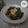 Cooksnap dari Puji Winarni untuk resep Ase cabe plus tetelan #kitaberbagi