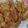 Cooksnap dari Shava untuk resep Pisang Goreng Crispy