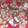 El cooksnap de María Marta cuando hizo Hombre de jengibre Cookies navideñas.