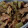 Cooksnap dari Agita Hinata untuk resep Sapi cah Sayur Asin