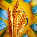 Сooksnap від Irina Vilian, який(а) приготував(ла) 🔸 Пшенично - житні хлібні палички "Колосок" з кунжутом та часником 🔸Гріссіні 🔸.