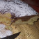El cooksnap de Karina Valenzuela cuando hizo Bizcochuelo fácil y económico.