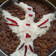 Apeksha sam का कुकस्नैप जब उन्होंने राजमा चावल (Rajma chawal recipe in Hindi) बनाया था।