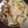 Puja Shaw's cooksnap of when they made নিরামিষ সাবুর খিচুড়ি (niramish sabur khichdi recipe in Bengali).