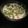 Hadani Shriya's cooksnap of when they made સ્પ્રાઉટ રાયતુ.
