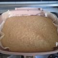 کوک اسنپ دلیار بعد از امتحان کردن کیک ساده با ماهیتابه رژیمی.