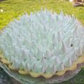 El cooksnap de CamilaMendoza cuando hizo Lemon Pie.