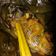 Cooksnap dari Silvia Anggraini untuk resep Pais/Pepes Ikan Nila Bumbu Kuning