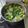 Réka Barabás_1 Cooksnap-ja, amikor elkészítette a(z) Mentaszörp receptet.