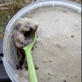 Cooksnap dari Nia d'Kitch untuk resep Banana ice cream super Enak.. dan Gampang buatnya,