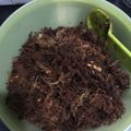 Cooksnap dari rianaya untuk resep Abon sapi 🐄