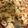 صورة من ام كريم my kitchen، شاركها بعد تجربة وصفة بيتزا بالنقانق🍕
