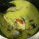 Cooksnap dari Siti Mudawanah untuk resep Ikan Mas Santan Bumbu Kuning