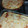 El cooksnap de Rocio Patterer cuando hizo Torta "Haragana"de manzana.