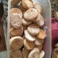 El cooksnap de Martina Alvarez cuando hizo Galletas Marineras! 😎👌.