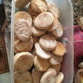El cooksnap de Martina Alvarez cuando hizo Galletas Marineras! 😎👌.