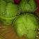 Cooksnap dari Intan Alphy untuk resep Bolu Kukus Pandan No telur no Mixer