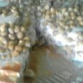 El cooksnap de Yanet cuando hizo Tarta de zapallitos.