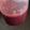 El cooksnap de sika_86 cuando hizo Coulis de cerezas 🍒.
