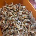 Cooksnap dari Shavira untuk resep Ayam Suir Pedas