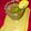 Srilekha Banik's cooksnap of when they made সামারকুল কিউকাম্বার সোডা(summercool cucumber soda recipe in bengali).