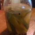 lreed935's cooksnap of when they made Spicy Dill Refrigerator Pickles.