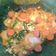 Cooksnap dari Yuni untuk resep Seblak Simple..endessszz